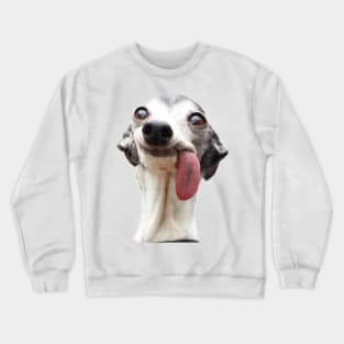 Crazy dog Crewneck Sweatshirt